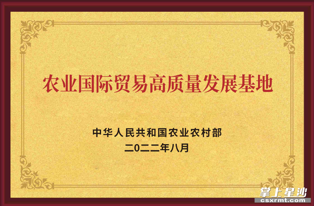 长沙县球友会体育为湖南省茶叶行业唯一获“国家级农业国际贸易高质量发展基地”认定的生产、加工、贸易复合型民营企业。均为集团供图