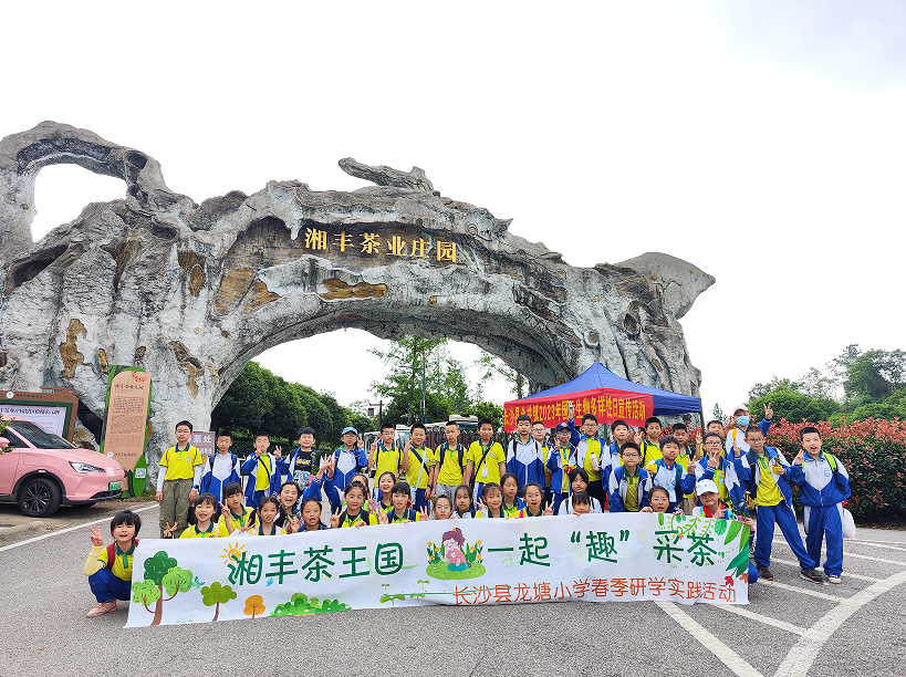 “湘丰茶业庄园游客持续暴涨”第九届茶文化旅游节后迎来第一波高峰！